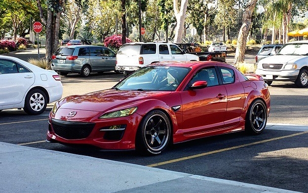 rx81.jpg